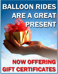 View the Photo Gallery